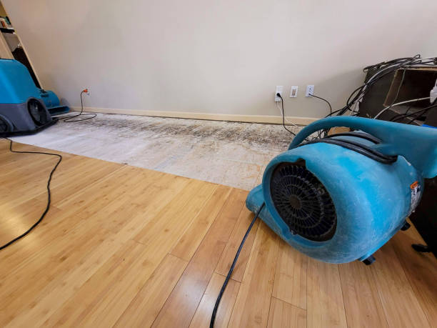 Professional Water Extraction technician working in Wahoo, NE